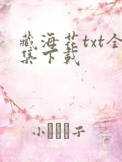 藏海花txt全集下载