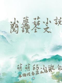 小蘑菇小说免费阅读全文