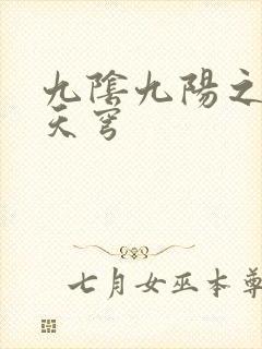 九阴九阳之武战天穹