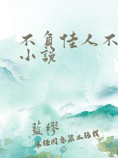 不负佳人不负卿小说