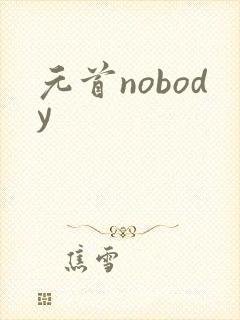 元首nobody