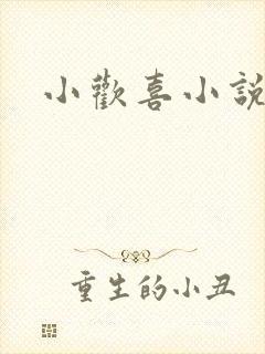 小欢喜小说
