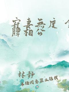 宠妻无度  金牌相公