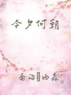 今夕何朝