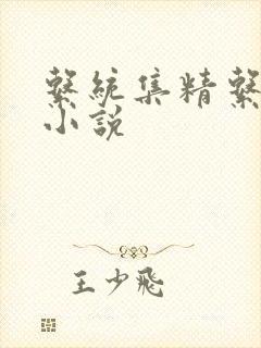 系统集精系统 小说