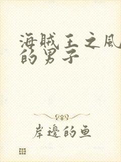 海贼王之风一样的男子