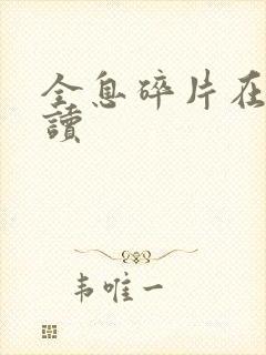 全息碎片在线阅读