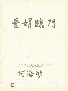 爱婿临门