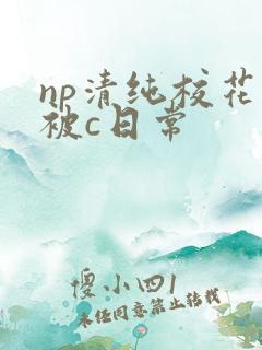 np清纯校花的被c日常
