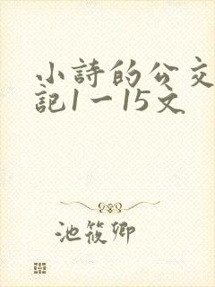 小诗的公交车日记1一15文