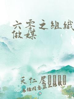 六零之组织给我做媒