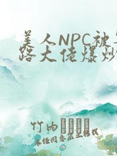 美人NPC被各路大佬爆炒小说