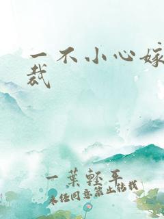 一不小心嫁给总裁