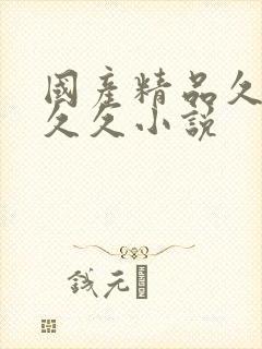 国产精品久久久久久小说