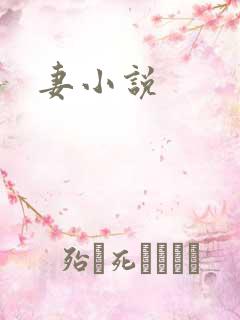 妻小说