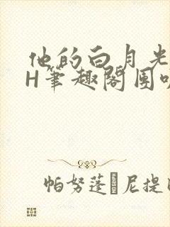 他的白月光HvH笔趣阁团叽叽