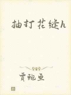 抽打花缝h