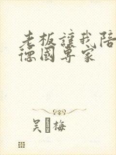 老板让我陪两个德国专家