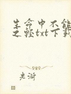 生命中不能承受之轻txt下载