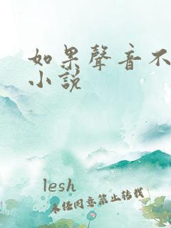 如果声音不记得小说