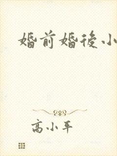 婚前婚后小说