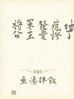 将军发疯地撞着公主爱惨了公主
