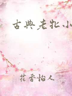 古典老牝小说