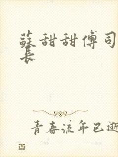 苏甜甜傅司衍机长