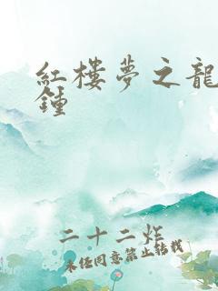 红楼梦之龙套秦钟