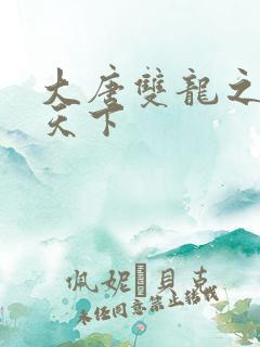 大唐双龙之无敌天下