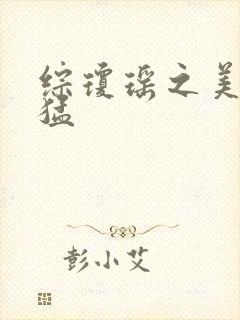 综琼瑶之美人凶猛