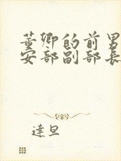 董卿的前男友公安部副部长