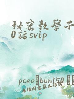 秘密教学子豪60话svip