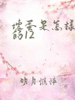 坏蛋是怎样炼成的12