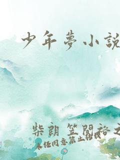 少年梦小说