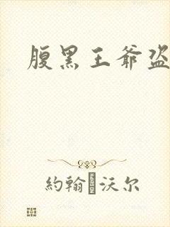 腹黑王爷盗墓妃