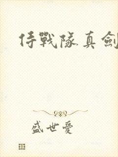 侍战队真剑者2