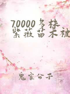 70000多株紫薇苗木被强毁