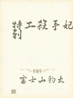 特工杀手妃来驾到