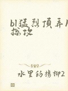 bl猛烈顶弄h总攻