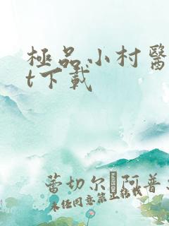 极品小村医txt下载