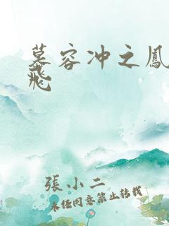 慕容冲之凤凰于飞