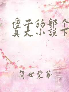 傻子的那个东西真大小说下载