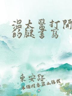 温太医打开眉庄的腿书写