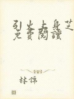 引火上身芝麻糖免费阅读