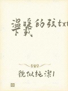 温暖的弦txt下载