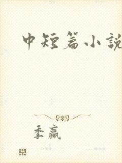中短篇小说集