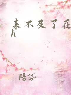 来不及了在车ch