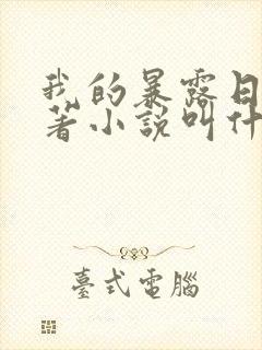 我的暴露日记原著小说叫什么