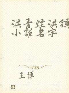 洪青烟洪镇国的小说名字